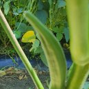 신바람농장 이미지