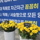 수프림영어교습소 이미지