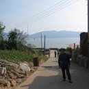 읍내리농로 이미지