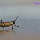 부천시원미노인복지관 | {부천, 주간보호센터, 추천!} 원미주간보호센터 부천 원미주간보호센터, 가족의 마음을 담다