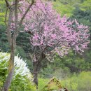 내마음의외갓집 이미지