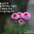 늦가을 인사 이미지 이미지