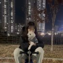 디지모터스