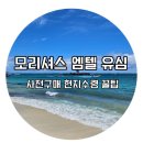 엠텔 | [신행]모리셔스 엠텔 유심 사전구매 꿀팁 / 현지 공항 수령 방법