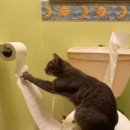 대전항외과의원 이미지