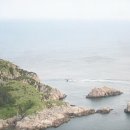 동강의 향기 이미지