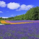 유심농장 이미지