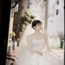 아리따운 이미지