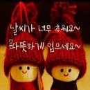 돌산댁갓김치 이미지
