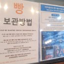 동남초등학교 | 제주 성산 빵집 제일성심당 제주 빵지순례