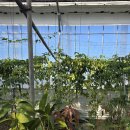 현풍농장 이미지