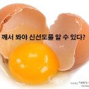 대한계란유통 이미지