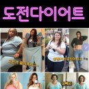 전하로 이미지