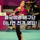 독스 윙스 이미지