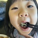 부리나케밥 이미지