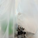 걸작떡볶이일산 | 일산 김치찜 배달 추천 맛집 걸작김치찜 스팸천국 김치찜 후기