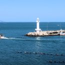 학리초장 이미지