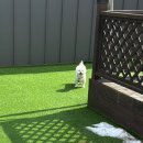 가평 댕댕이 애견 풀빌라 펜션 블루 이미지