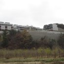 세종캐슬 이미지