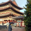 중문오렌지파크 이미지