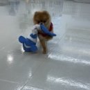 제이 애견 호텔 이미지