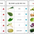 서면유통 이미지