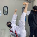 호랑이태권도 이미지