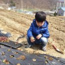 민재농장 이미지