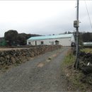 성읍리-26 이미지