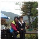 봉남이네 이미지