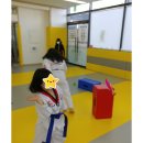 백석최고태권도 이미지