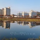 박경미행정사사무소 이미지