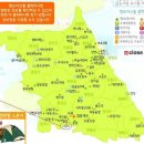 원주두리캠핑장 이미지