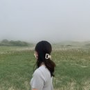 끌레아르드 | 대전 하이라이트 염색 잘하는곳! 봉명동 끌레아르드 헤어 by 현지쌤