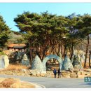 유가사 - 달성군 유가면 | 유가사