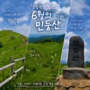 강원도 정선 민둥산 증산초 코스(1코스): 주차정보부터 초록빛 능선과 돌리네 풍경까지