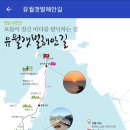 도리포민박 이미지