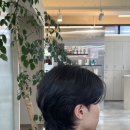 프로디헤어 이미지