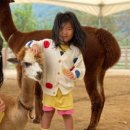 레이지507B 네이버블로그
