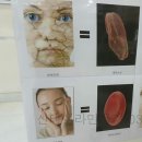 관리하는남여
