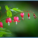 카페인생이야기 이미지