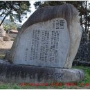 진달래화원 이미지