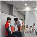 성신 태권도 이미지