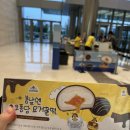 여수봄날엔
