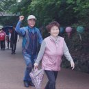 산수 Daum카페