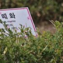 대도장 이미지