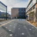 오송솔미초등학교 네이버블로그