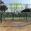 옥빛초등학교 이미지