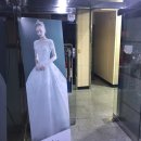 제이비팰리스 | 펠리스 노비아 웨딩드레스 샵 투어 후기 - 가는길