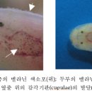 제주 용천동굴 이미지